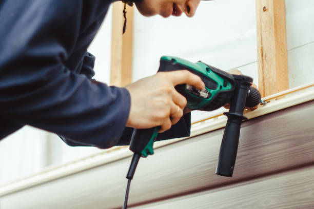 Best Custom Trim and Detailing for Siding  in Roseto, PA